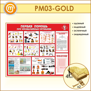 Стенд «Первая помощь при чрезвычайных ситуациях» с плоским и объемным карманами (PM-03-GOLD)